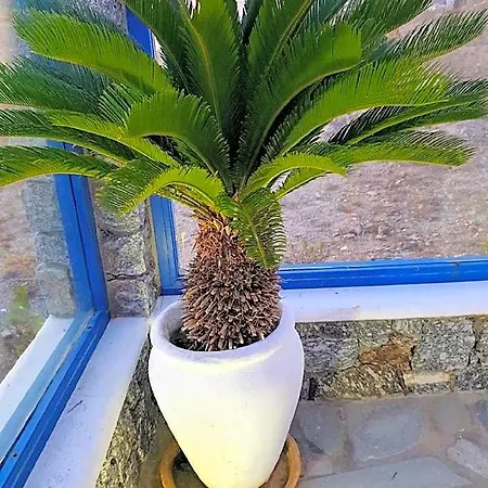 Mykonos Welcome Apartahotel 3*